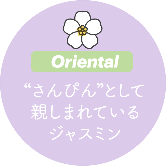 Oriental さんぴんとして親しまれているジャスミン